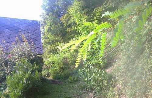 Cormeilles House | À flanc de colline