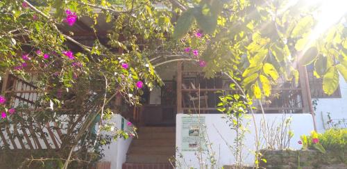 Cali House | Ágora Manantial