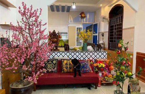 Vung Tau Hotel | Đức Long Homestay