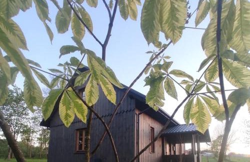 gmina Pawłow House | Świętokrzyskie Stodoła Kasztanowa Aleja Radkowice