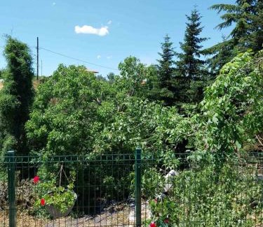 Arnaia Apartment | Πραβιτάδικο