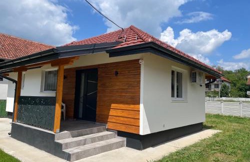 Petrovac na Mlavi Villa | У Максима