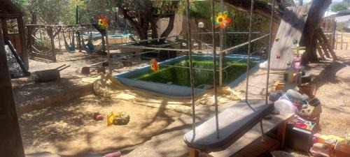 Taoz Other | בריאה
