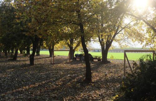 Beit Hillel Cabin | חווה של דני