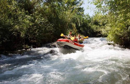 She'ar Yashuv Cabin | ירוק בטבע
