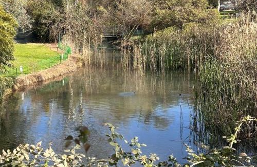 HaGoshrim Apartment | סתלבט בקיבוץ