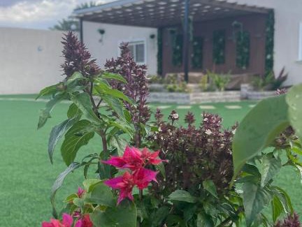 Umluj Ski Chalet | أستراحة وقاعة الريان