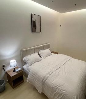 Al Kharj Apartment | استديو فندقي في حي الورود