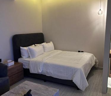 Riyadh Apartment | استديو هادى وانيق