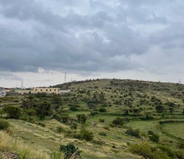 Abha House | استراحة الذروة