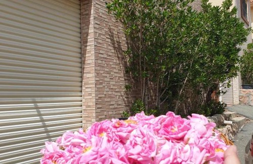 Al Hada Ski Chalet | الأنس حيث تأنس النفس