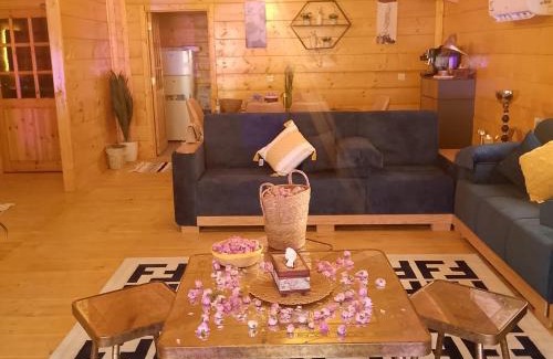 Taif Ski Chalet | ستراود