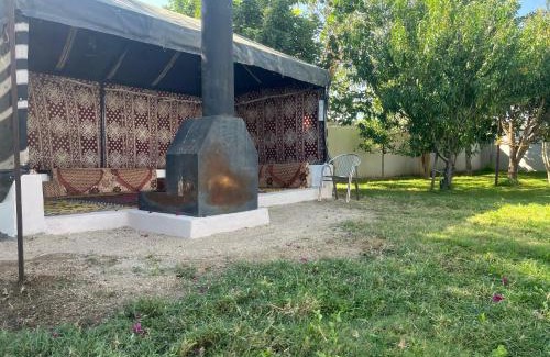 Al Aqiq Ski Chalet | شاليه وحديقة التوت بمسبح