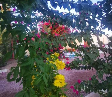 Bisha Ski Chalet | شاليه وضيافة الليوان