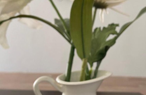 King Faisal Military City Apartment | شقة مفروشة