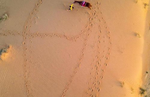 Sharjah Other | مزرعة العائلة