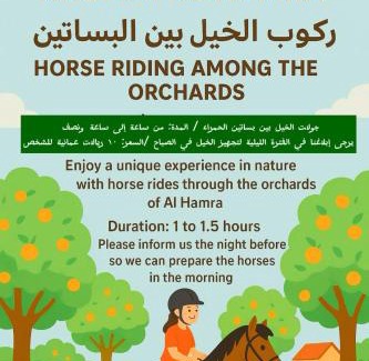 Al Hamra House | نزل نسيم الحمراء - nseem alhamra inn