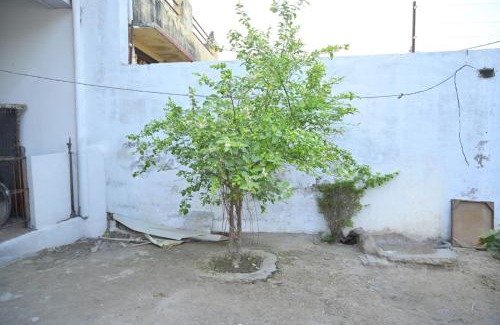 Sadabad House | दाऊजी ब्रज धाम आस्था और शांति