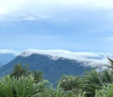 Khao Kho House | ต้นค้อ สวีทโฮม