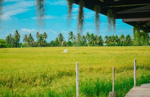 Suan Som House | ทรัพย์ในดิน ฟาร์มสเตย์