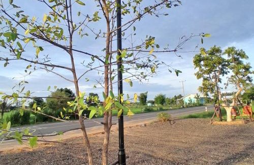 Buriram Other | ทุ่งนา แคมป์