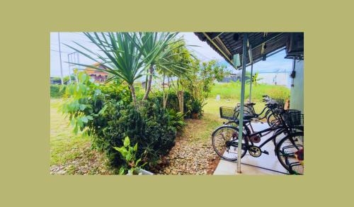 Tha Bo House | นกฮูกเฮ้าส์ ริมโขง