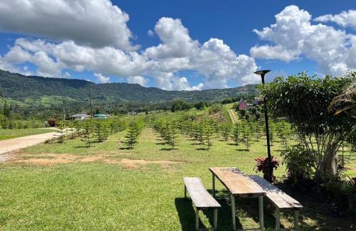 Khao Kho House | บ้านสวนหมอกเขาค้อ a2