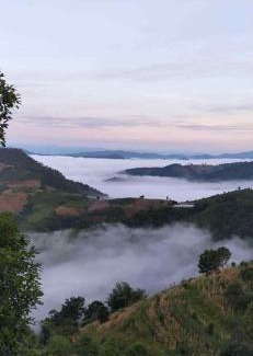 Mae Suai Resort | บ้านสวนเอลเลน Ellen Farmhouse