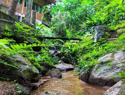 Mae On Hotel | บ้านไม้ไผ่เทียมตาแม่กำปอง Baanmaipai Tiamta Maekampong