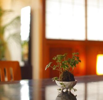 Hida Takayama Onsen Hotel | まち宿 壱龍 MACHIYADO ICHIRYU