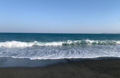 Odawara Apartment | ペットOk小田原箱根駅伝が見られる家