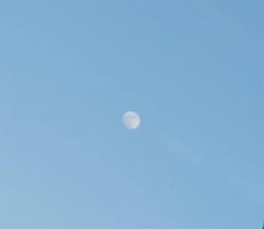 Fukuchiyama Hotel | 宇川温泉よし野の里