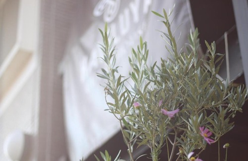 Fujikawaguchiko House | 晴家(HALELUYA) Guest House