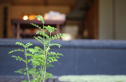 Fujikawaguchiko House | 晴家(HALELUYA) Guest House