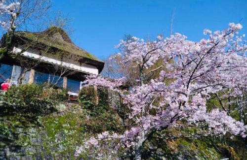 Saga House | 洋々庵・古民家一棟貸・完全貸切・プライベートサウナ