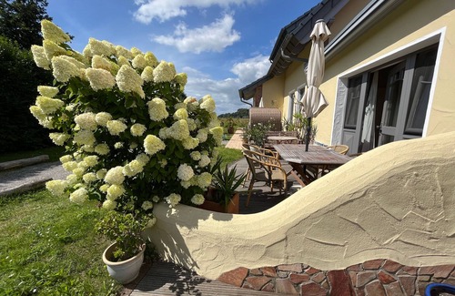 Ostseebad Baabe Villa | 02 Holiday apartment on Lake Selin with terrace - Ferienwohnungen am Seliner See