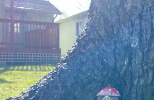 Seaview Cabin | .08 mi walk to the beach, fully equipt home, wifi, quiet neighborhood.