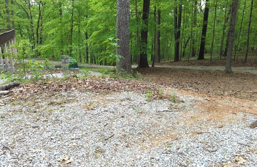 Kingston House | 1-bdrm house with fireplace, AC and WiFi with 20 acres of trees scenic deck.