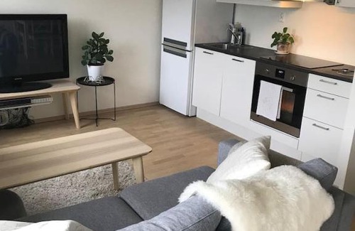 Lillestrom Apartment | 1-bed for 2 pers Central in Lillestrøm