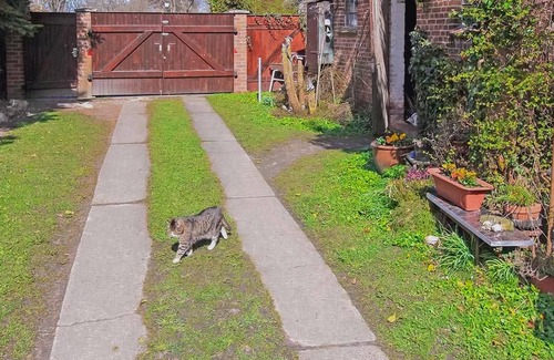 Klausdorf Apartment | 1 bedroom accommodation in Klausdorf