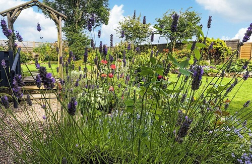 Balfron Cottage | 1 bedroom accommodation in Balfron, near Drymen Loch Lomond & The Trossachs