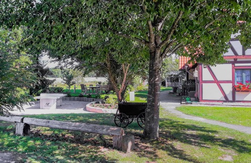 Sehlen Apartment | 1 bedroom awesome apartment in Sehlen
