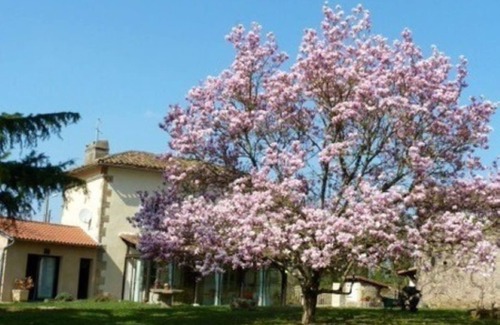 Sonnac Bed & Breakfast | 1 bedroom bed & breakfast in sonnac