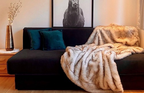 Dalaas Apartment | 1 bedrooms in Dalaas