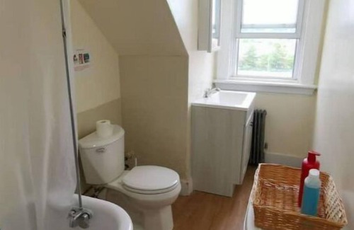 Worcester Apartment | 1 BR Apt walk to MCPHS, WPI, St Vincent Hospital