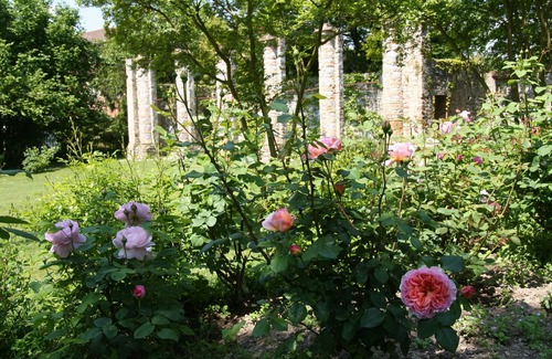 Strassoldo House | 1-Lovely stone home with garden, in a castle near beach and 1 hour from Venice