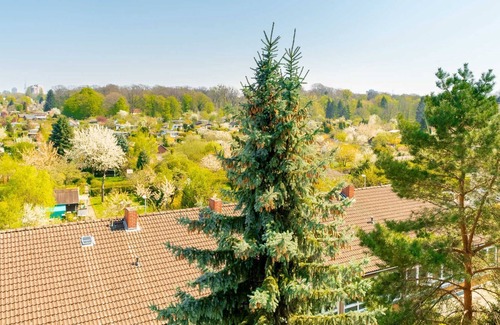 Burg Apartment | 1 room apartment | ID 6841 | WiFi-Apartments