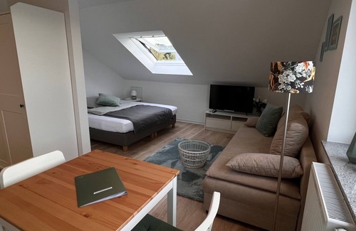 Salmbach Apartment | 1 room attic studio, bright and cozy. Ideal for 1 person