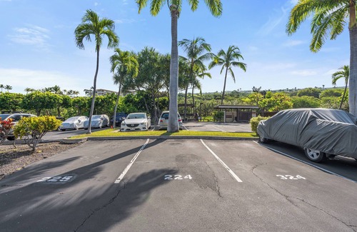 Keauhou Condo | 120/nt LAST MINUTE DISCOUNT SPECIAL!, No stairs. 2nd floor unit.