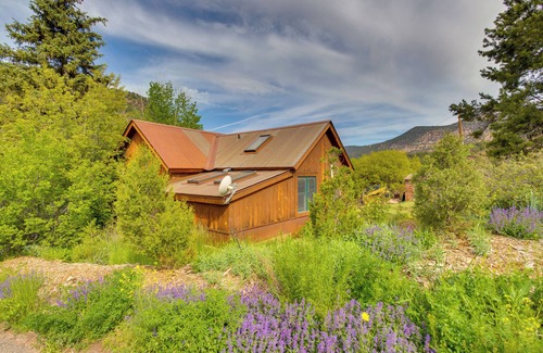 Placerville House | 18 Mi to Telluride: Mtn-View Home w/Hot Tub!
